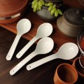 Serving Spoon